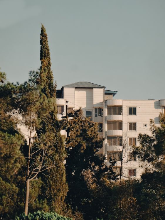 Building Among Reeds House Building Among Trees in Sunlight · Free Stock Photo