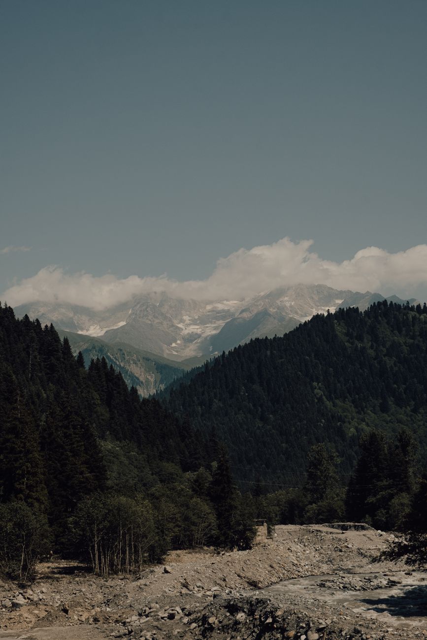 Stunning mountain view with dense forest and flowing river under clear skies, perfect for nature enthusiasts.