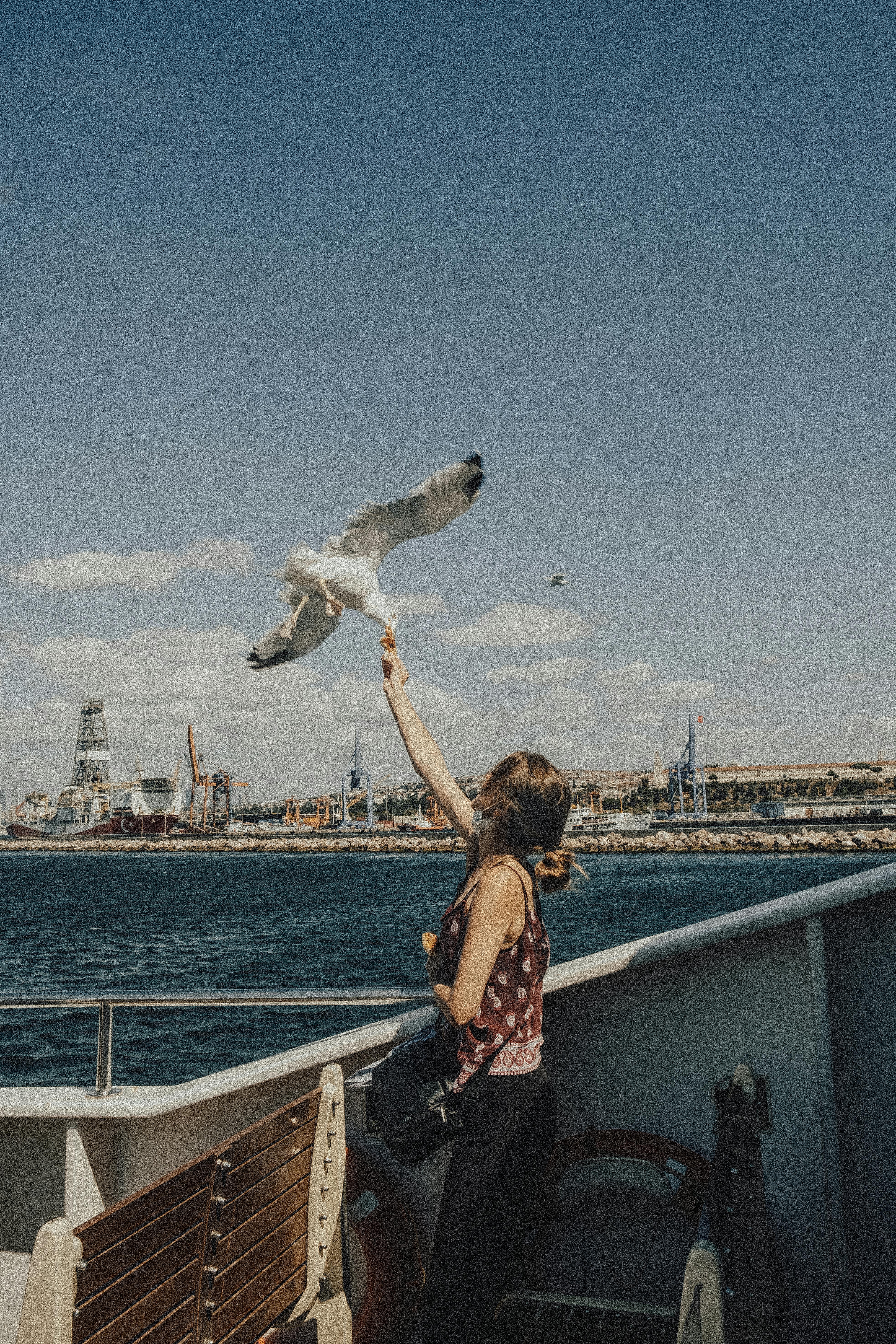 A woman feeds a seagull on a ferry with a view of Istanbul's skyline in the background.