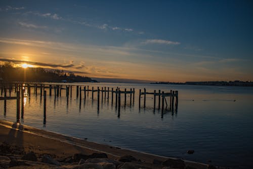 Free stock photo of pier sunrise