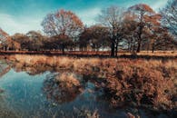 宁静的秋景中，一片反光的湖泊被五彩缤纷的树叶和树木环绕