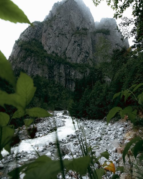 地質構造, 小河, 岩石 的 免費圖庫相片