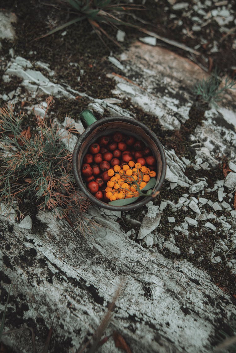 Red And Yellow Berries On Cup