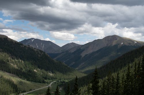 Mountains with Green Trees 