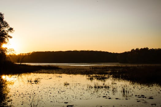 A tranquil sunrise reflecting over a forested lake, capturing the beauty of nature at dawn.