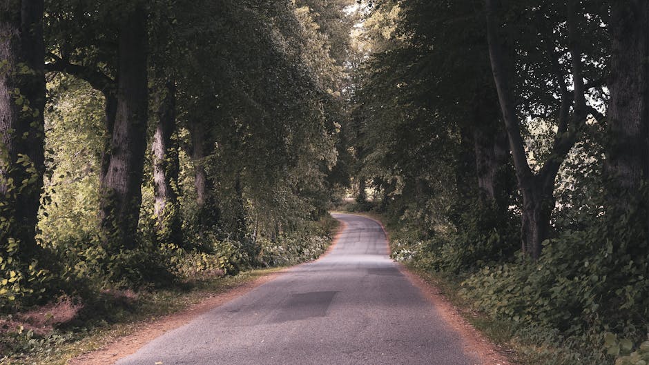 foret-onf