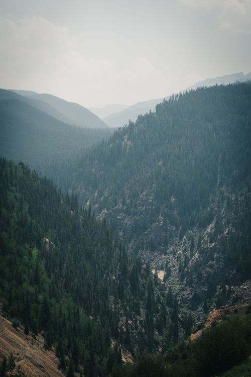 Free Stunning misty mountain valley view with conifer forests and hazy atmosphere. Stock Photo
