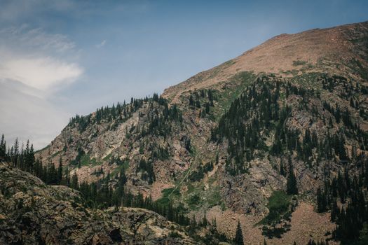Explore the stunning landscape of rocky mountains with pine trees under a clear blue sky.