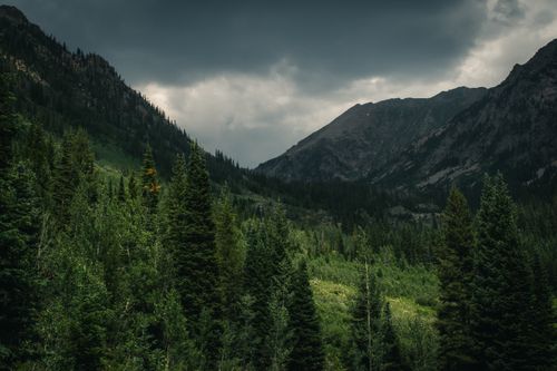 Free A dramatic mountain and forest landscape with dark clouds looming overhead, capturing nature's raw beauty. Stock Photo