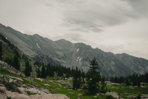 Free Serene mountain landscape with lush forest under a cloudy sky. Stock Photo