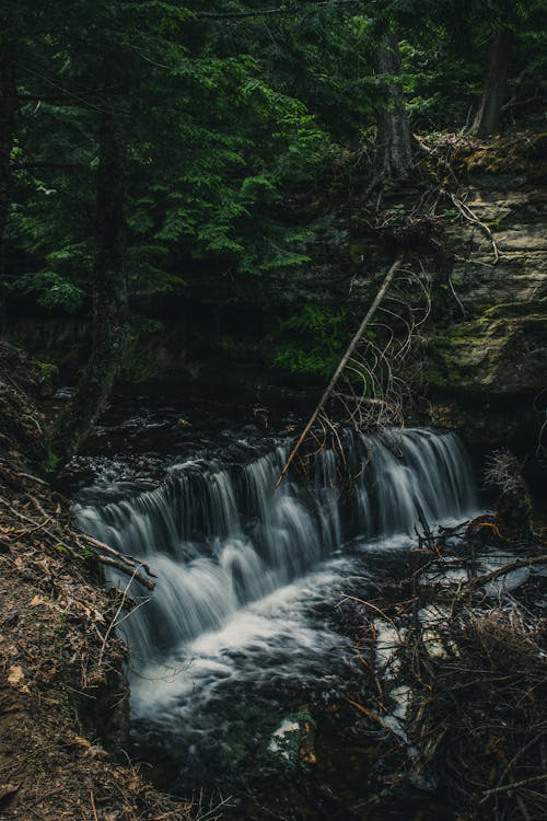 Water Falls in the Forest