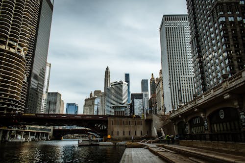 Low Angle Shot of Buildings and Skyscrapers in the City of Chicago