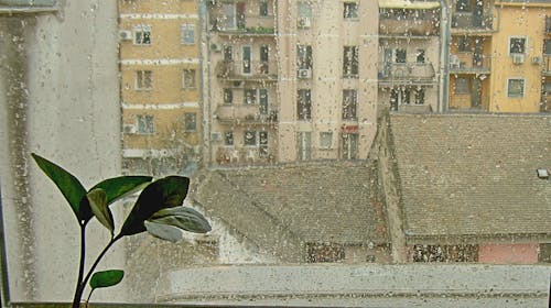 Darmowe zdjęcie z galerii z deszcz, deszczowa pogoda, deszczowy dzień