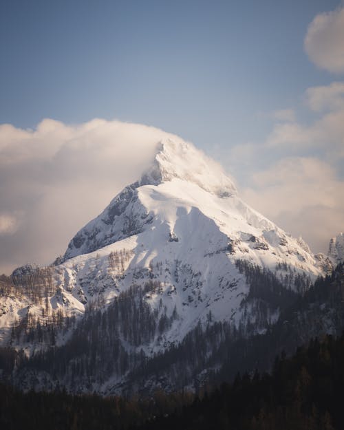 Fotos de stock gratuitas de Austria, cielo azul, cubierto de nieve