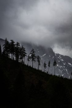 A moody mountain scene with silhouetted trees against a cloudy sky.