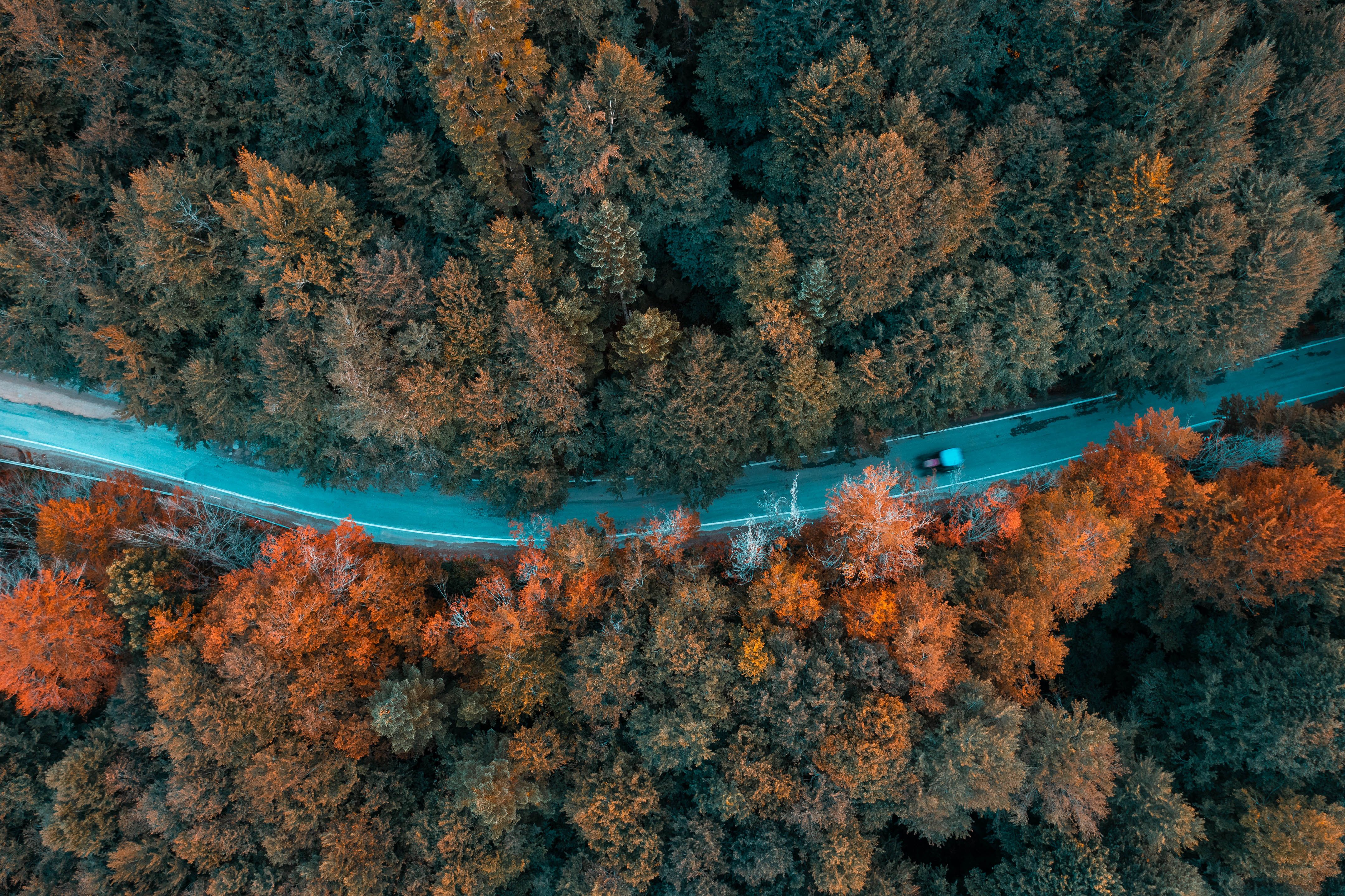 Cerence AI Expands Beyond the Vehicle to New Areas of the Automotive Ecosystem with Launch of AI Agents — Photo by Fatih Tura