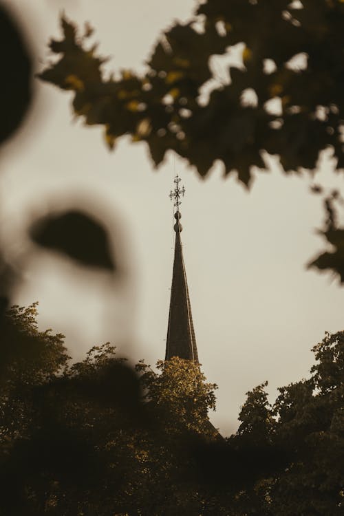 Gratis lagerfoto af kirke, lodret, silhouet