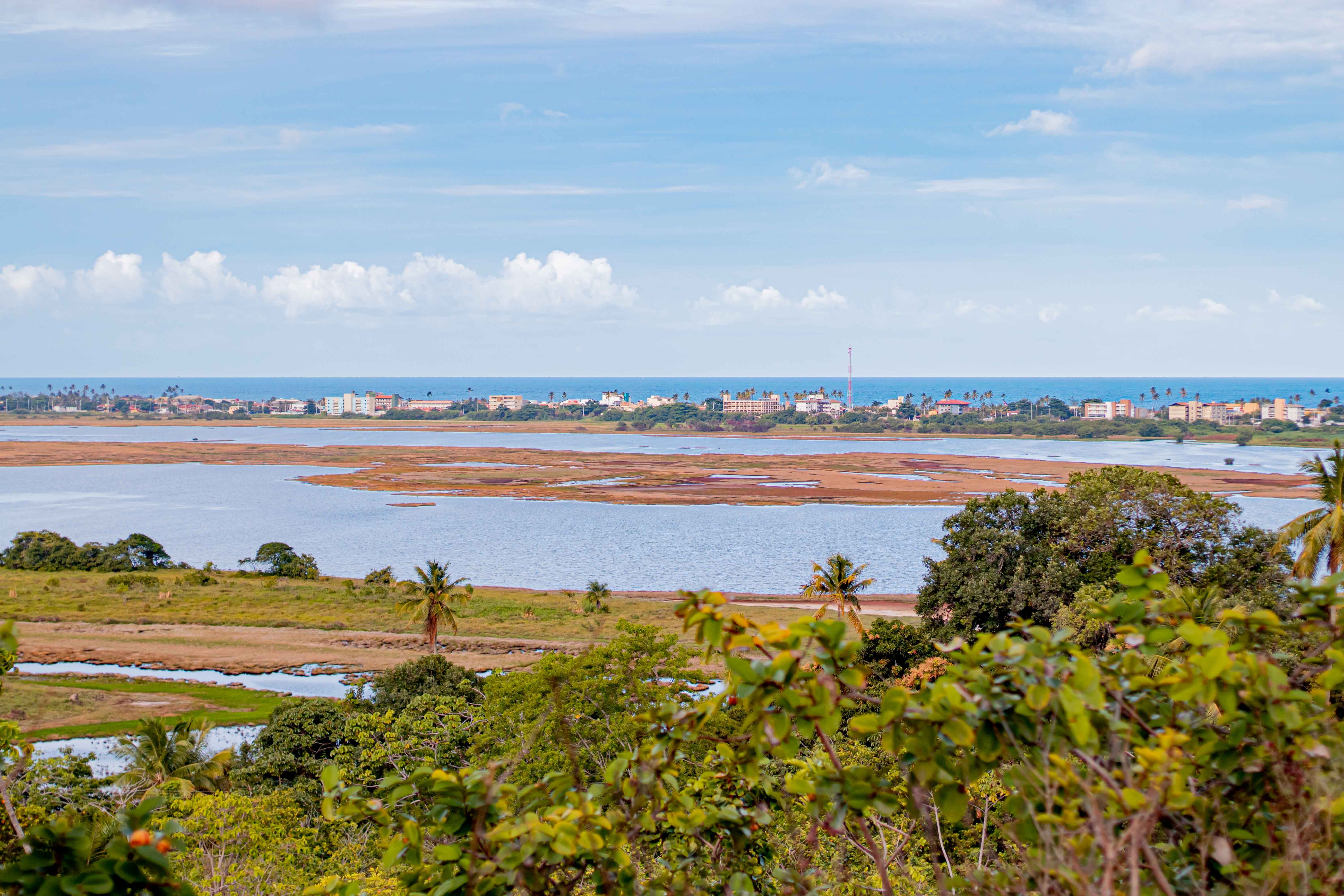 A picturesque coastal landscape in Porto de Galinhas, Brazil, showcasing lush greenery and vibrant blue skies.