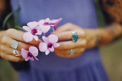Free A Person Holding Pink Flowers Stock Photo