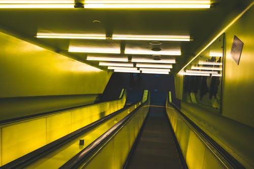 Empty Escalators inside a Building