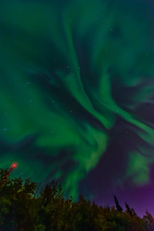 Free stock photo of aurora borealis, aurora polaris, colorful