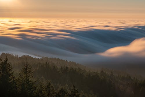 Free Sea of Clouds During Golden Hour Stock Photo