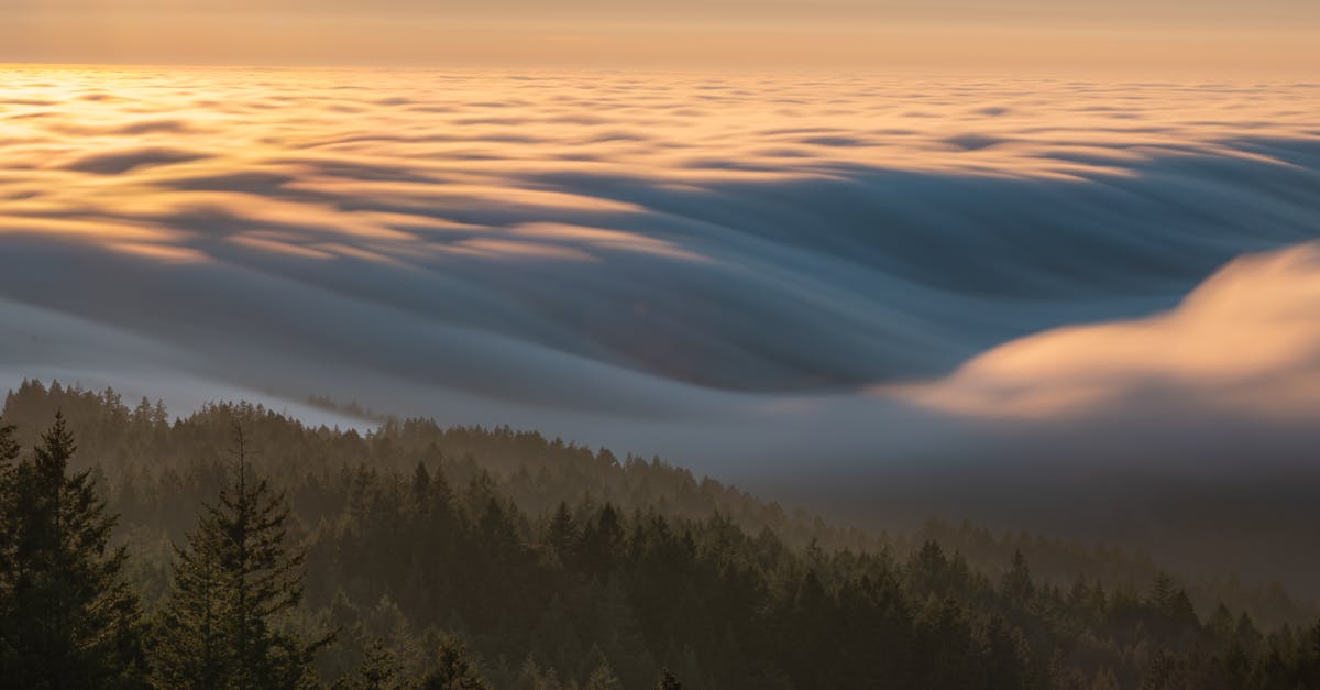 How much do psychologists make an hour in California