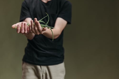 Person in Black Crew Neck T-shirt Holding Green String