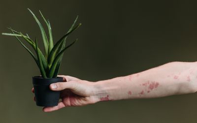Hai người chưa tiêm vaccine tử vong do sởi ở Pennsylvania