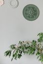 Green and White Floral Round Wall Decor