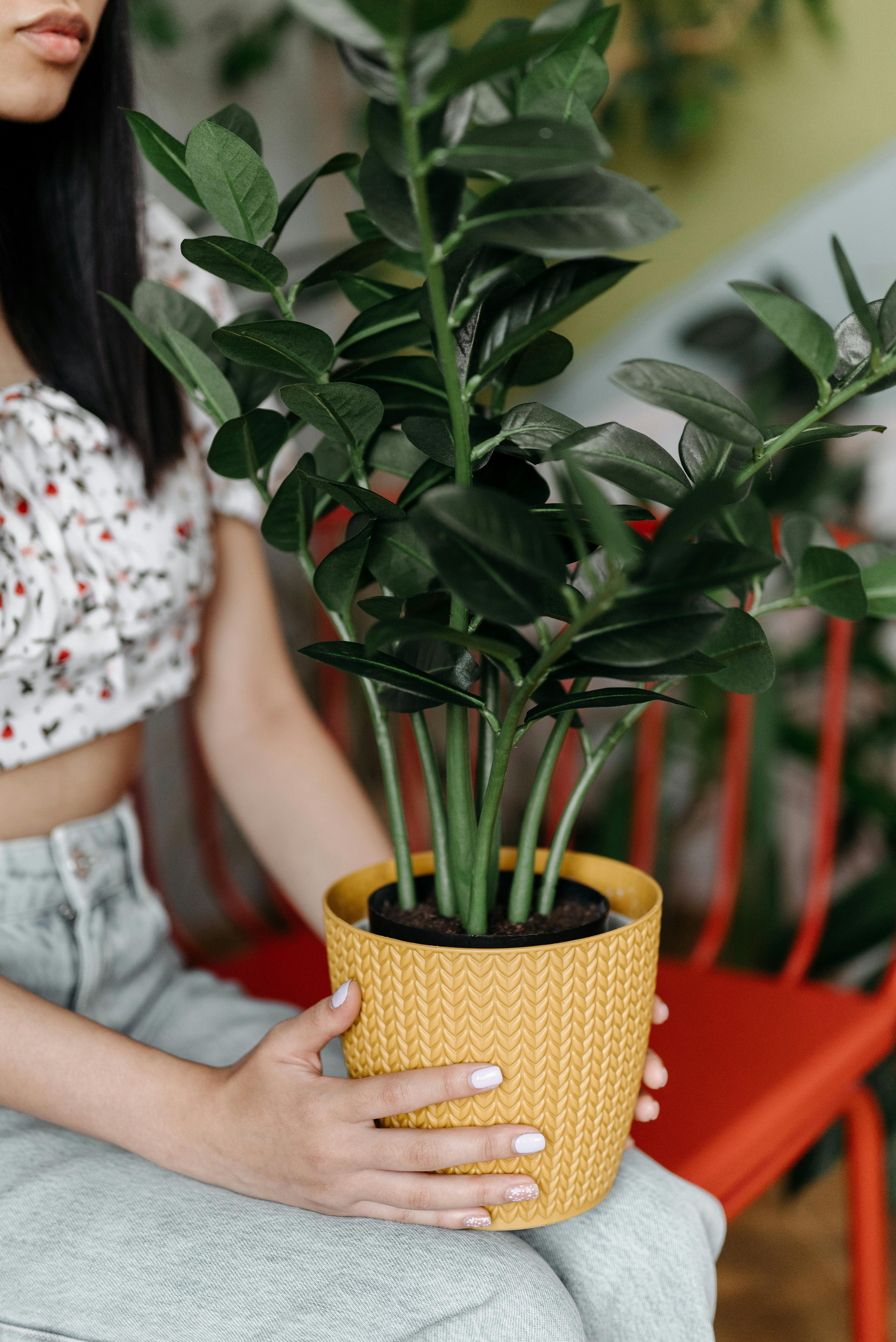 Photo by ROCKETMANN TEAM