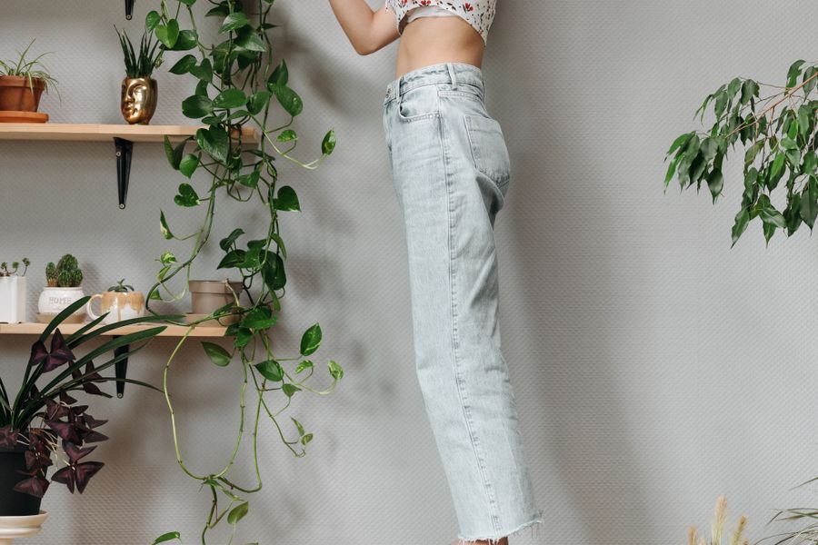 How to Water Houseplants the Right Way