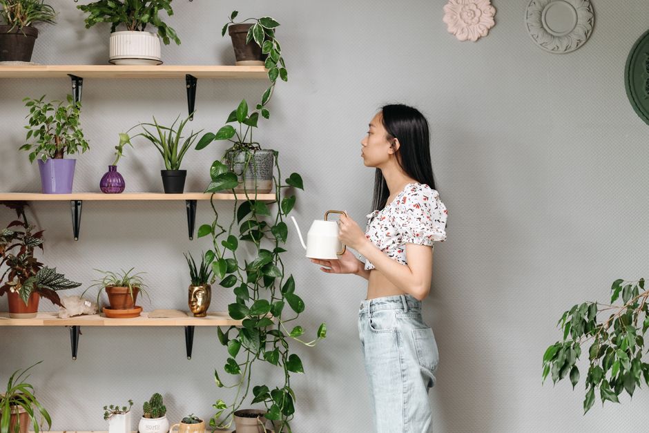 Buy Plant Stand in Lucknow: Essential Guide to Choosing the Perfect Foldable Plant Stand for Your Home Person using foldable plant stand in modern home decor setting