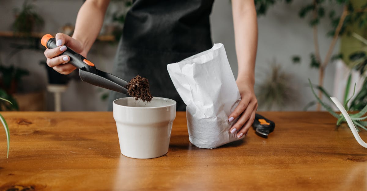 Outils indispensables pour chaque jardinier passionné