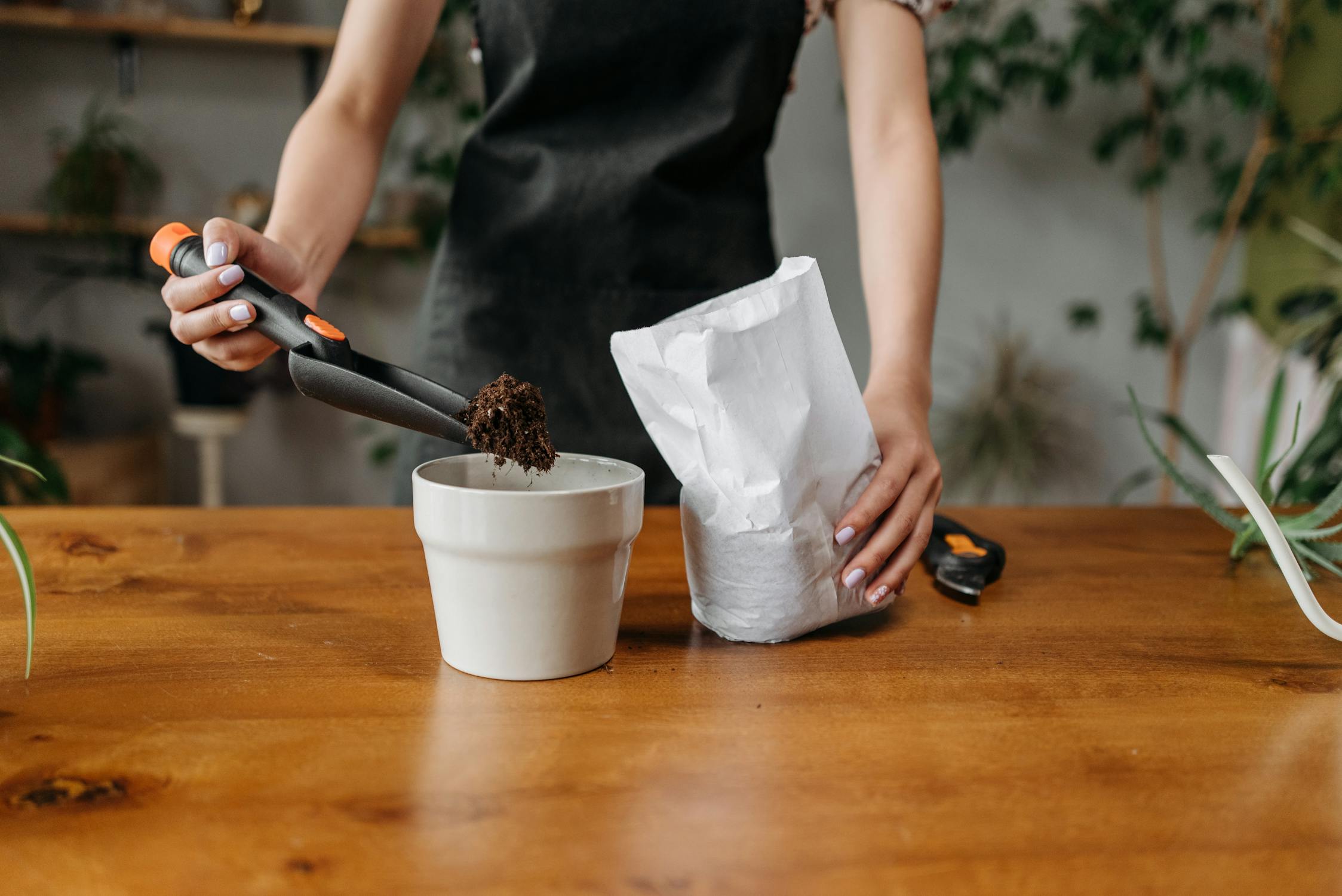 A Person Putting in Some Soil in a White Pot for rosemary