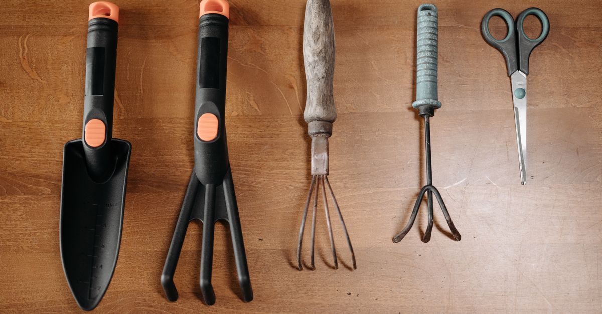Garden tools laid out on a wooden surface