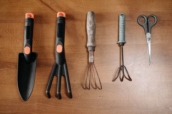 Collection of garden tools arranged on a wooden surface