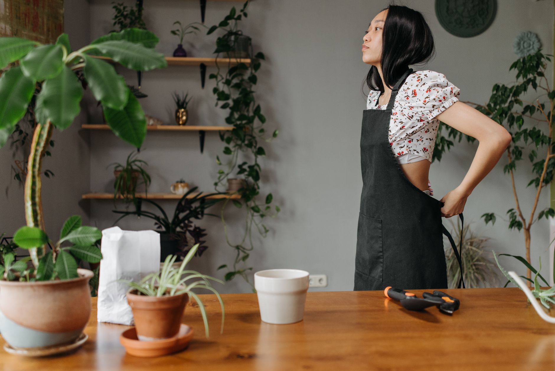 Asian woman tying apron in a home garden setup with potted plants and tools.