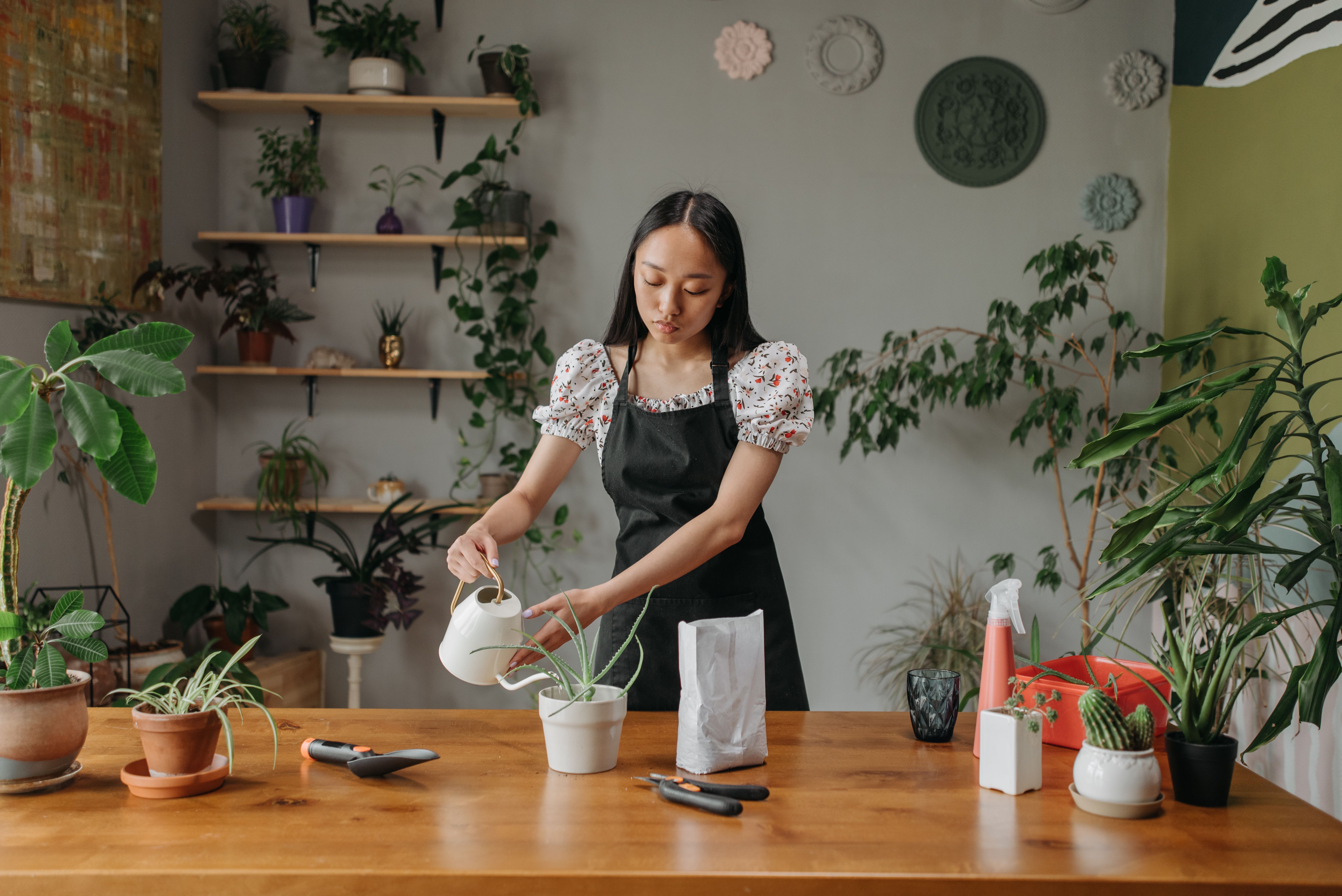 Gardening for Beginners​