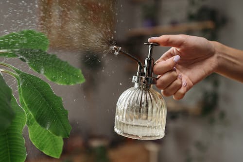 Person Holding Clear Glass Bulb