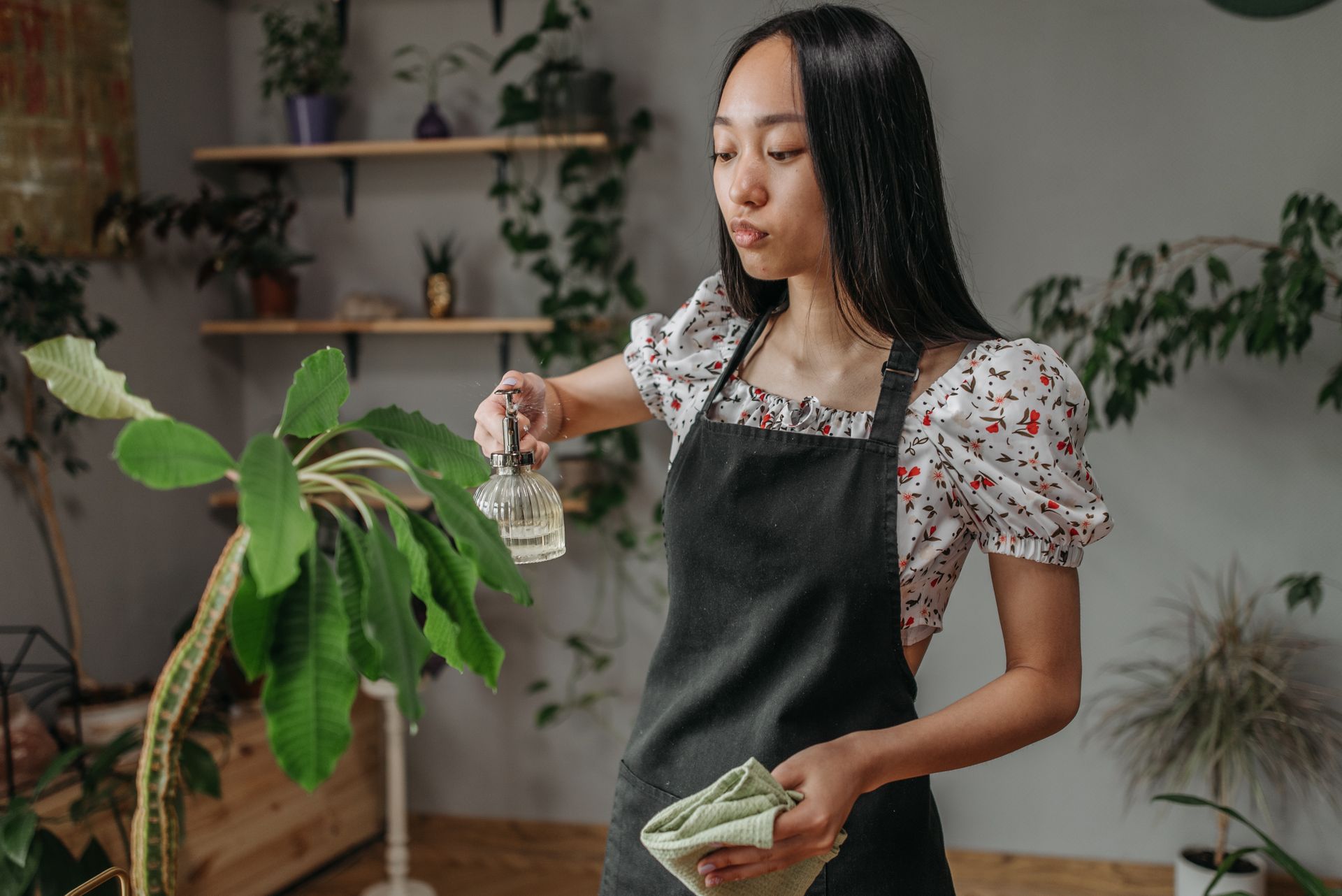 A young woman in an apron sprays a houseplant indoors, caring for greenery.