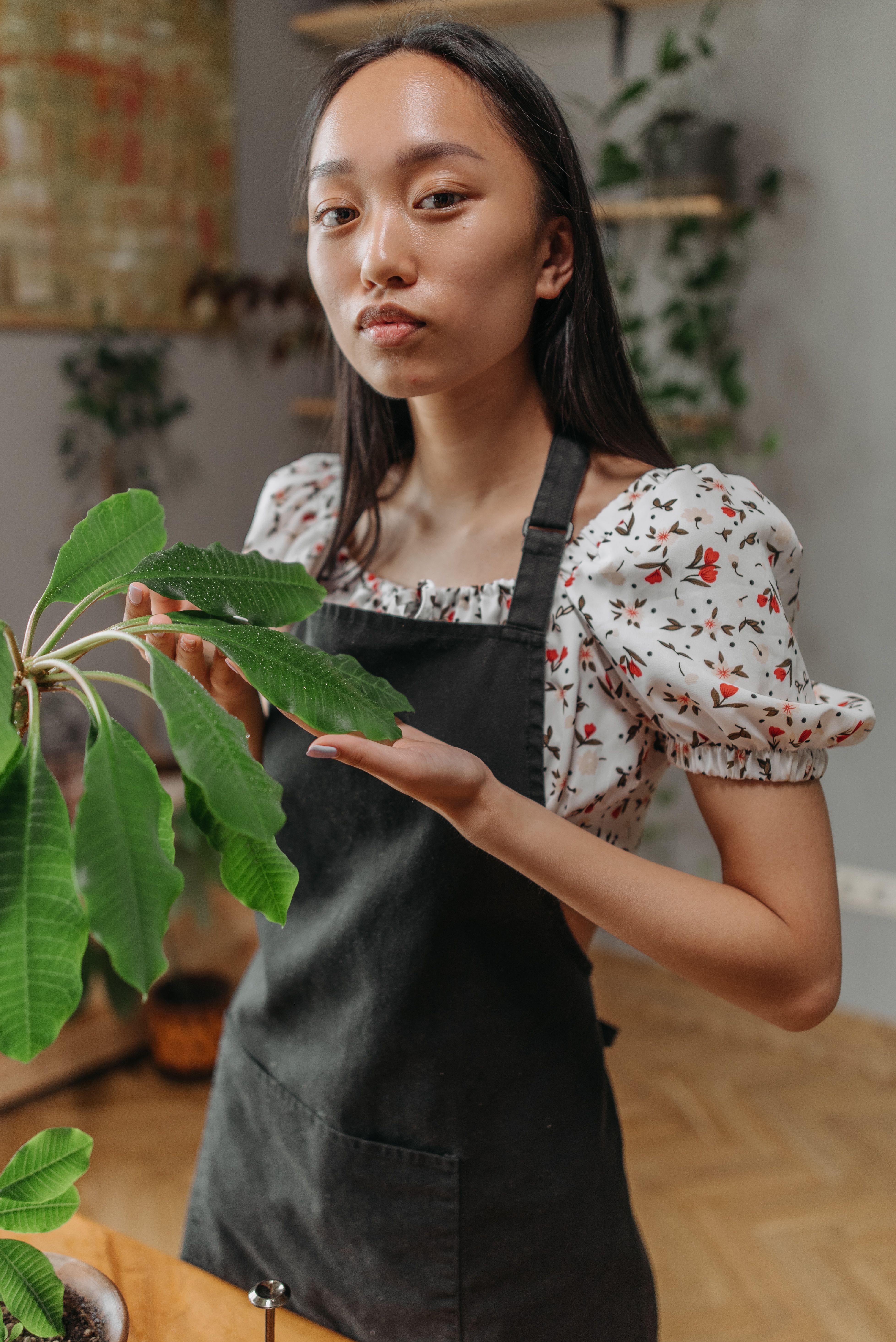 Woman in White and Red Floral Shirt Holding Green Leaf · Free Stock Photo
