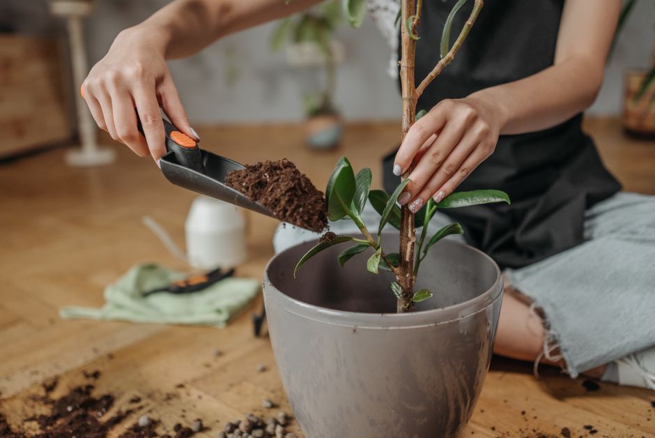 DIY Garden Projects: Transform Your Outdoor Space Easily