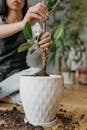 Green Plant on White Ceramic Pot