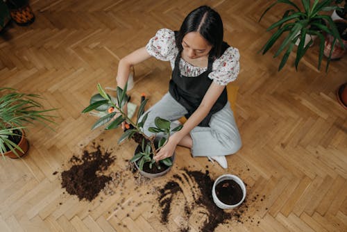 Gratis lagerfoto af beskyttende arbejdstøj, blad, blomsterpotte