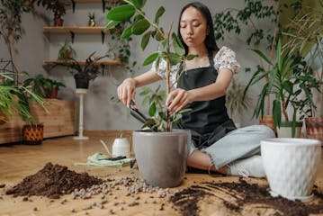 Thumbnail for article about the User Articles