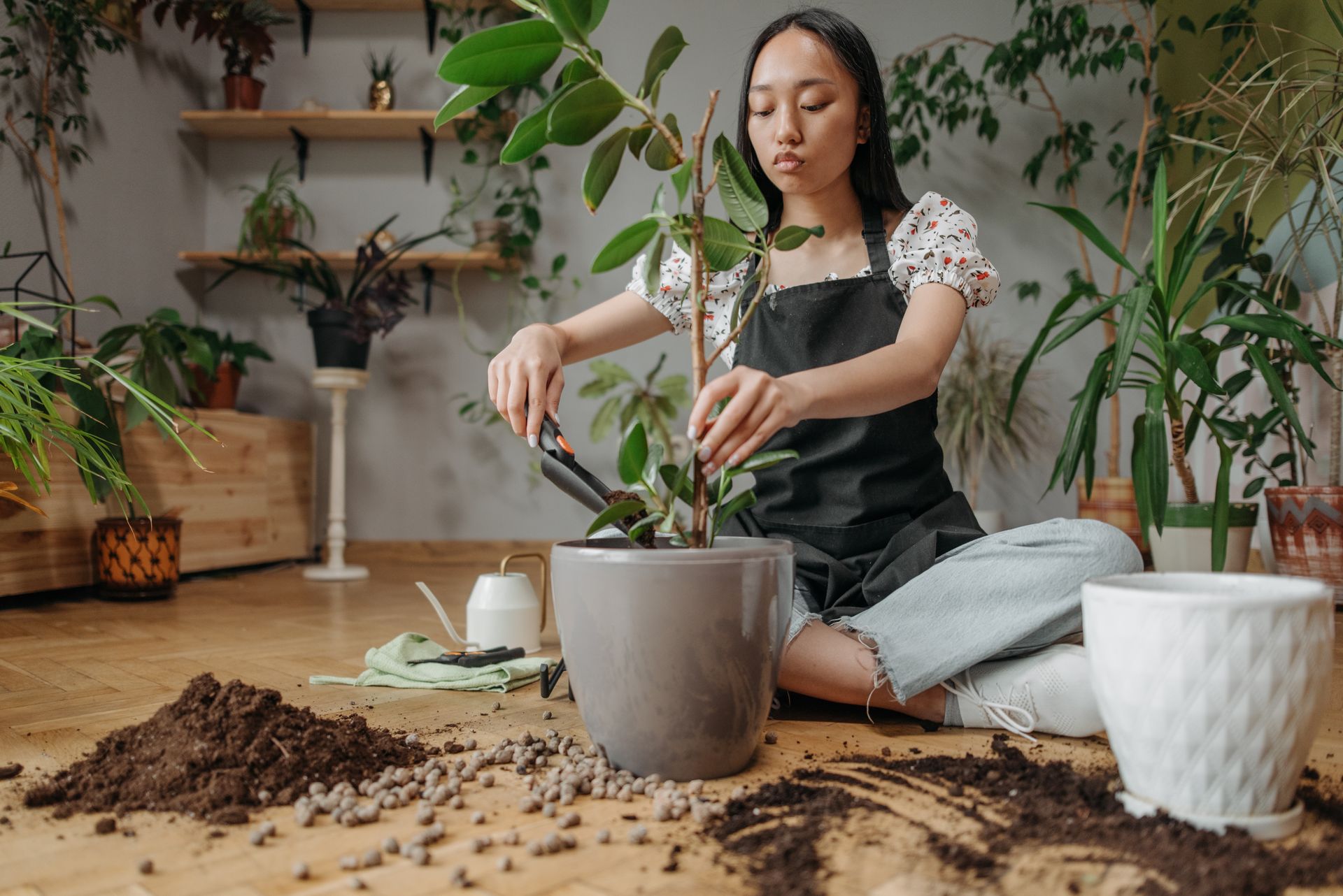 Woman in apron sitting indoors, engaged in plant transplantation and care.