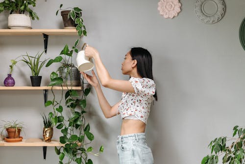 A Woman Watering a Plant 