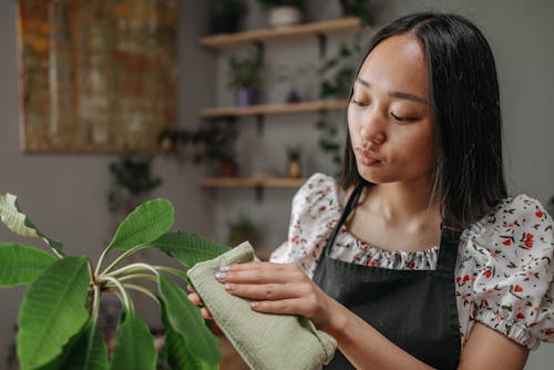Free A Woman Wiping a Leaf with a Cloth Stock Photo