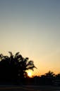 在马来西亚八打灵再也，美丽的日落映衬着棕榈树的轮廓，天空充满活力